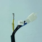 143566282_3852037521514149_6995697010814521807_n