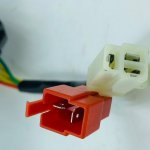 143600396_1306954213011880_2635796378523403903_n