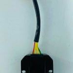 143680635_324922162281348_8973486180689477304_n