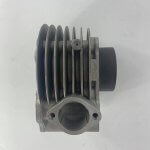 153772073_276870810678205_5889479145662720722_n