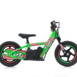 CVM-DNA-12_Verde_05